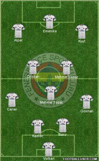 Fenerbahçe SK Formation 2014