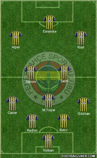 Fenerbahçe SK Formation 2014
