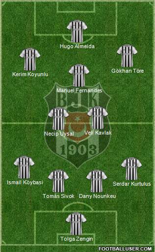 Besiktas JK Formation 2014