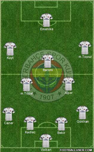 Fenerbahçe SK Formation 2014