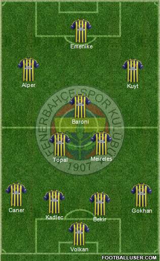 Fenerbahçe SK Formation 2014