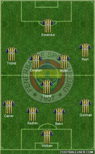 Fenerbahçe SK Formation 2014