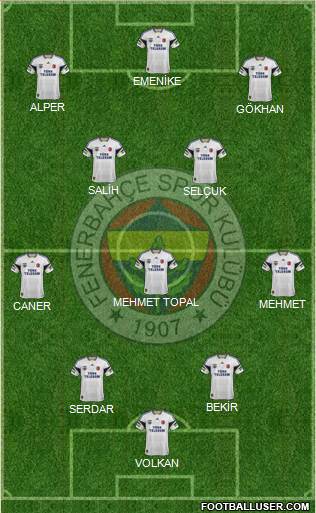 Fenerbahçe SK Formation 2014