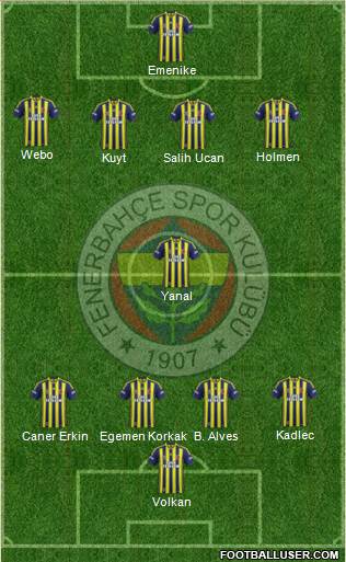 Fenerbahçe SK Formation 2014