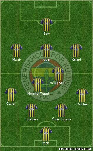 Fenerbahçe SK Formation 2014