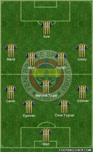 Fenerbahçe SK Formation 2014