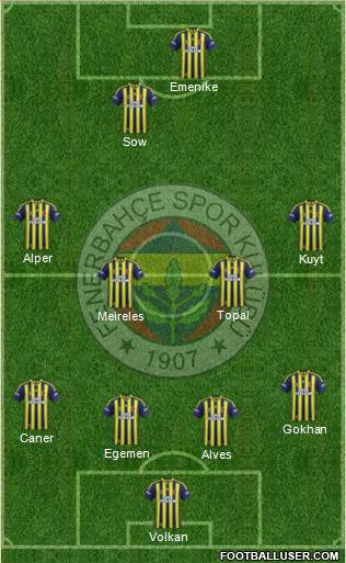 Fenerbahçe SK Formation 2014
