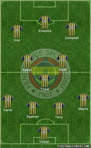 Fenerbahçe SK Formation 2014