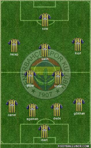 Fenerbahçe SK Formation 2014