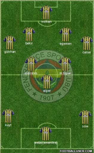 Fenerbahçe SK Formation 2014