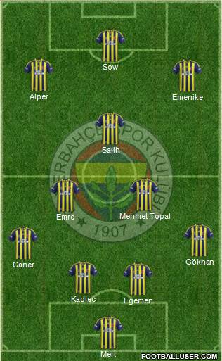 Fenerbahçe SK Formation 2014