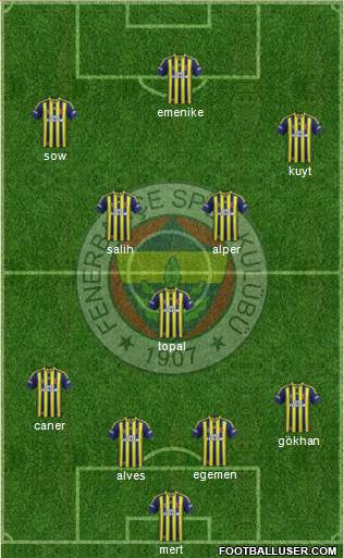 Fenerbahçe SK Formation 2014