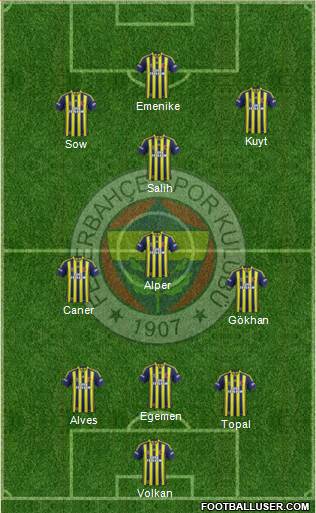 Fenerbahçe SK Formation 2014