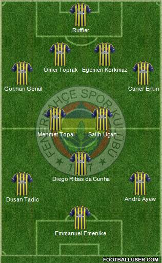 Fenerbahçe SK Formation 2014