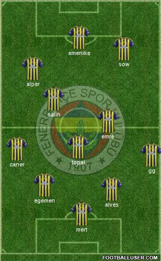 Fenerbahçe SK Formation 2014