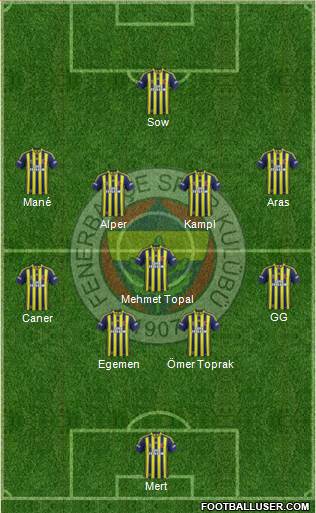 Fenerbahçe SK Formation 2014