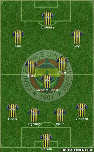 Fenerbahçe SK Formation 2014