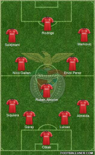 Sport Lisboa e Benfica - SAD Formation 2014