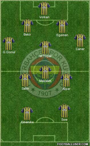 Fenerbahçe SK Formation 2014