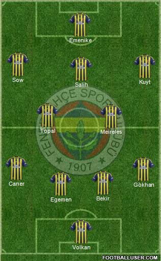 Fenerbahçe SK Formation 2014