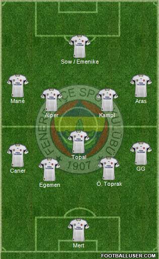 Fenerbahçe SK Formation 2014