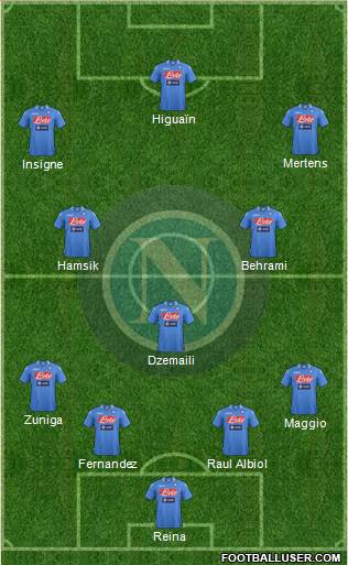 Napoli Formation 2014