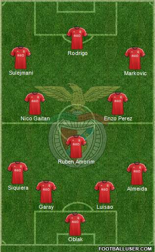 Sport Lisboa e Benfica - SAD Formation 2014