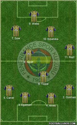 Fenerbahçe SK Formation 2014
