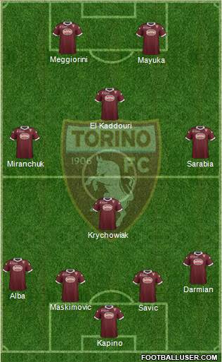 Torino Formation 2014
