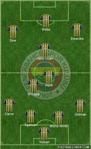 Fenerbahçe SK Formation 2014