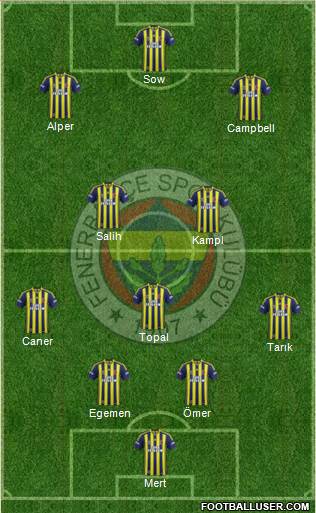 Fenerbahçe SK Formation 2014