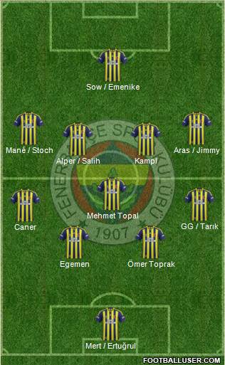 Fenerbahçe SK Formation 2014