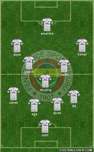 Fenerbahçe SK Formation 2014