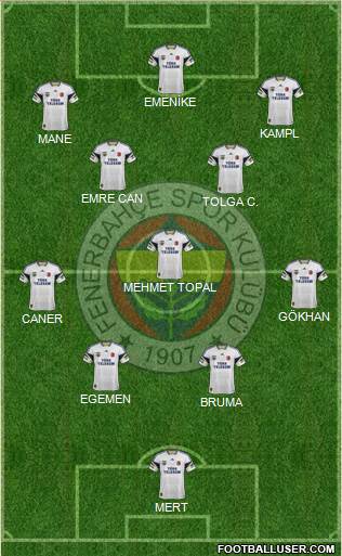 Fenerbahçe SK Formation 2014