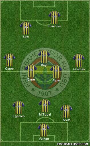 Fenerbahçe SK Formation 2014