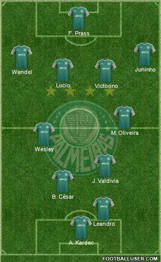 SE Palmeiras Formation 2014