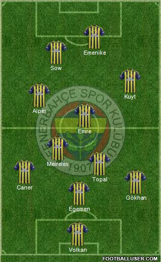 Fenerbahçe SK Formation 2014