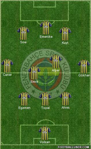 Fenerbahçe SK Formation 2014