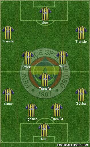 Fenerbahçe SK Formation 2014