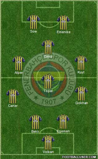 Fenerbahçe SK Formation 2014
