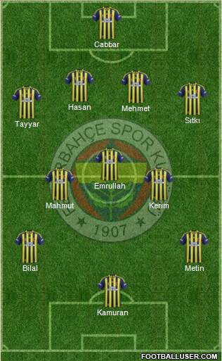 Fenerbahçe SK Formation 2014