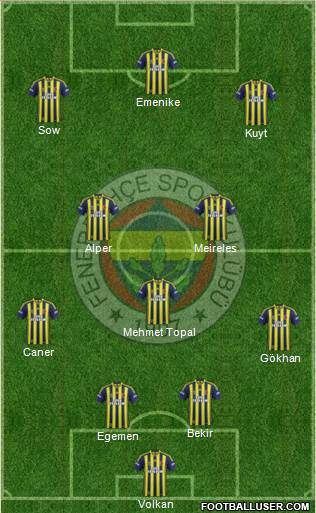 Fenerbahçe SK Formation 2014
