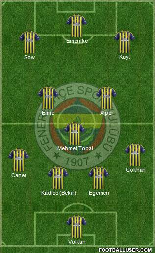 Fenerbahçe SK Formation 2014