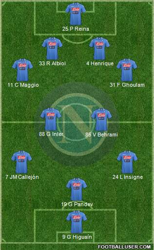 Napoli Formation 2014