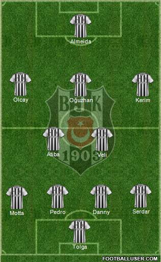 Besiktas JK Formation 2014