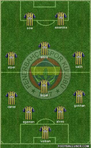 Fenerbahçe SK Formation 2014