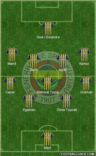 Fenerbahçe SK Formation 2014