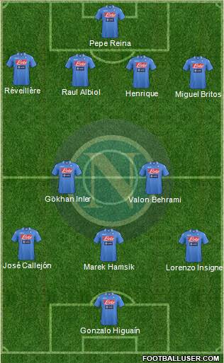 Napoli Formation 2014