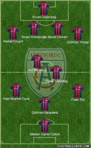 Altinordu Formation 2014