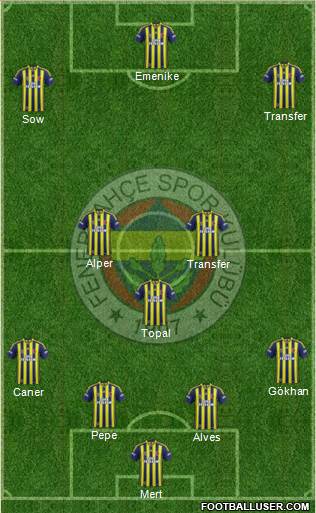 Fenerbahçe SK Formation 2014